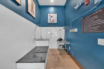 Alton optimist park apartments in charlotte, north carolina dog wash